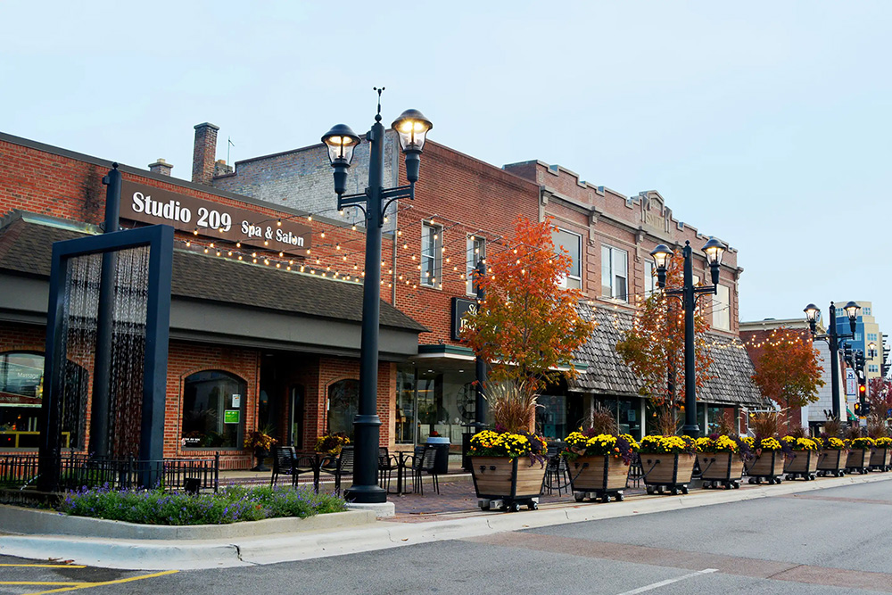 cms login splash image